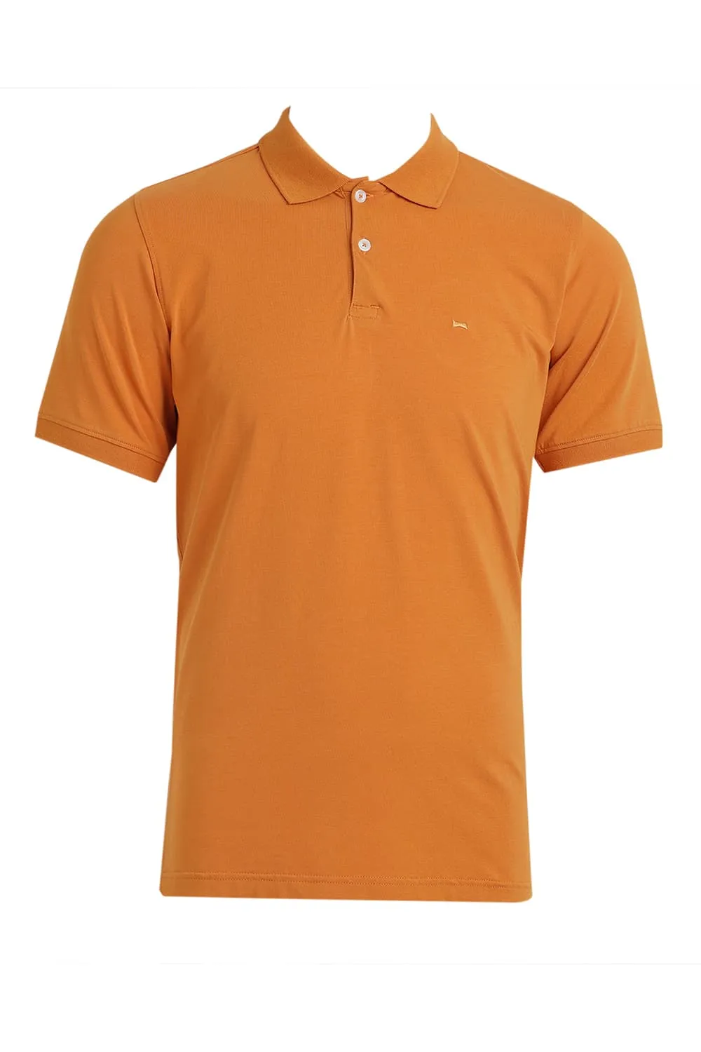 Regular Fit Cotton Stretch Polo T-Shirt